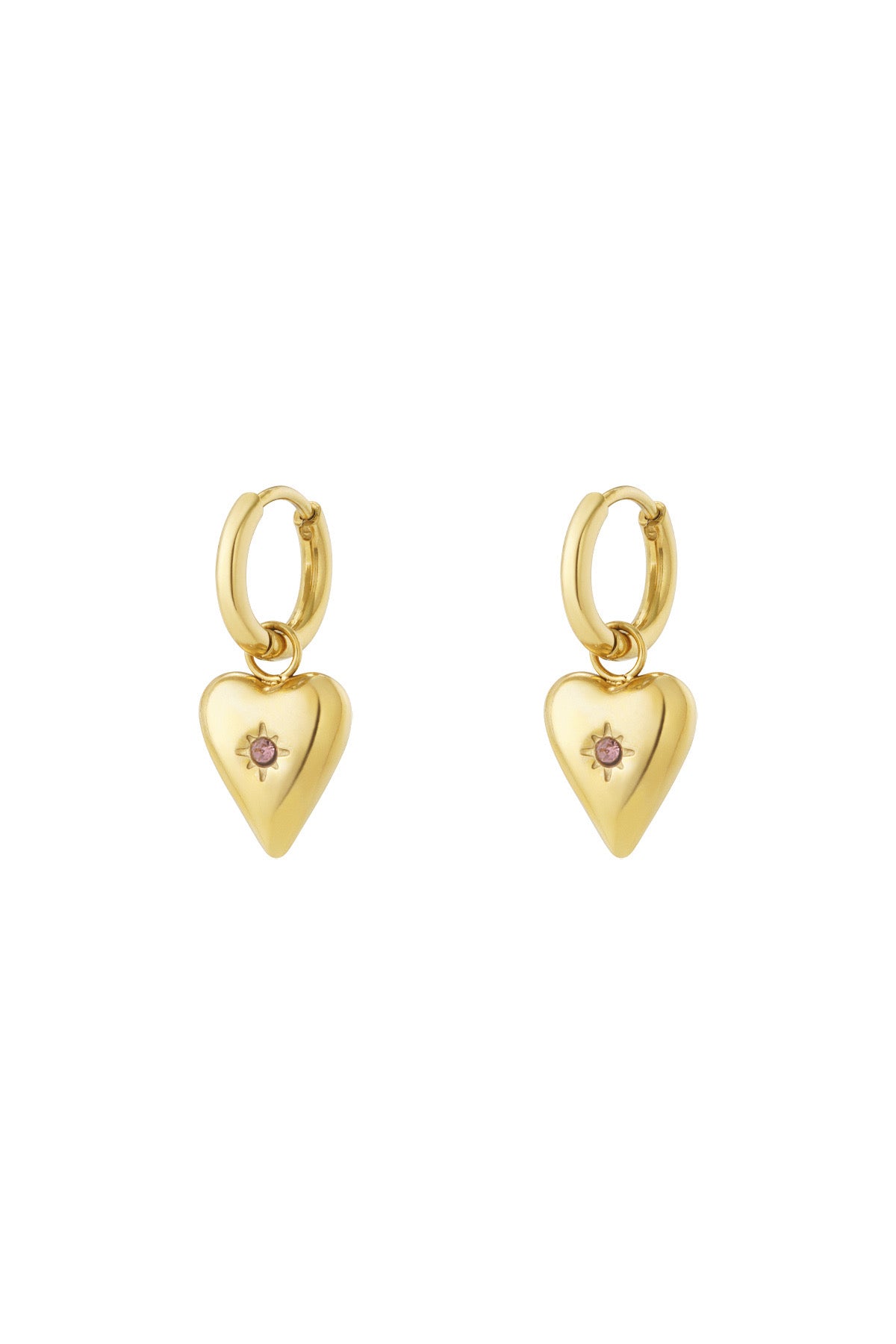 Maand oorbellen februari